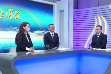 ɽ�������������߽�������ר�ⱨ��