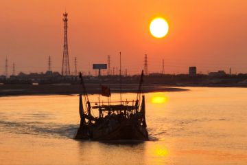 ע����Ƭ��������������������ÿ����������ӯ��