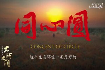 ��¼Ƭ�����֮�ޡ�