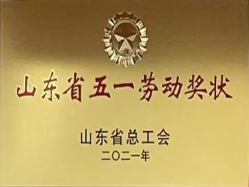 ɽ��ʡ��һ�Ͷ���״