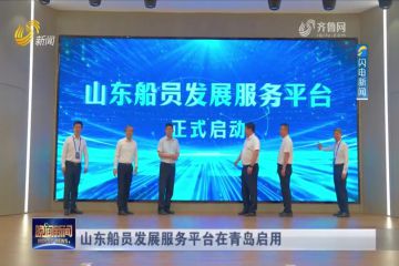 ɽ����Ա����Ч��ƽ̨���ൺ����